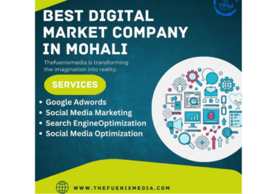 Best Digital Market Company in Mohali | TheFuenixMedia