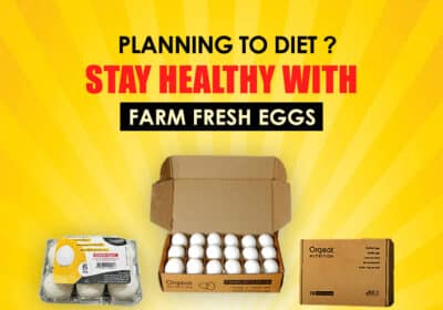 Buy White Organic Eggs Online in India | Orgeat Nutrition