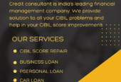 credit-consultant-banner