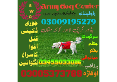 Army Dog Center in Faisalabad Pakistan
