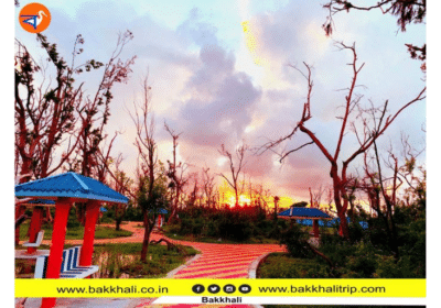 Best Luxury Hotels in Bakkhali | Resorts Home Stay | Bakkhali Trip