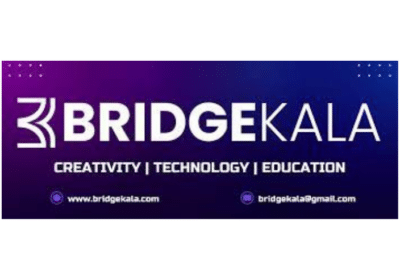 Best Digital Marketing and Website Designing Agency in Rohini Delhi | Bridge Kala