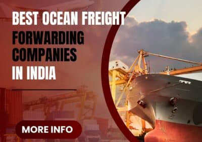 Best Ocean Freight Forwarding Companies in India | AFM Logistics