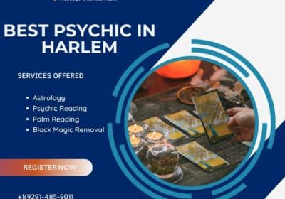 Explore The Aspects of Your Life with Best Psychic in Harlem | Pandit Sai Ganesh