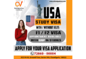 Best Visa Consultants in Chandigarh | CV Immigration