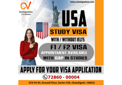 Best Visa Consultants in Chandigarh | CV Immigration