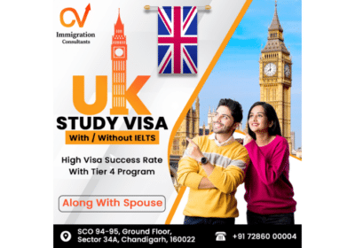 Top Visa Consultants in Chandigarh | CV Immigration