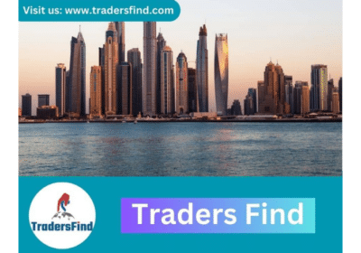 Boost-Your-B2B-Connections-with-a-Reliable-B2B-Portal-TradersFind