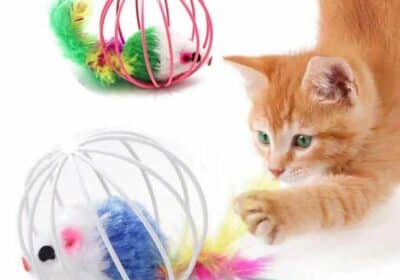 Buy-Cat-Toy-Stick-Feather-Wand-With-Bell