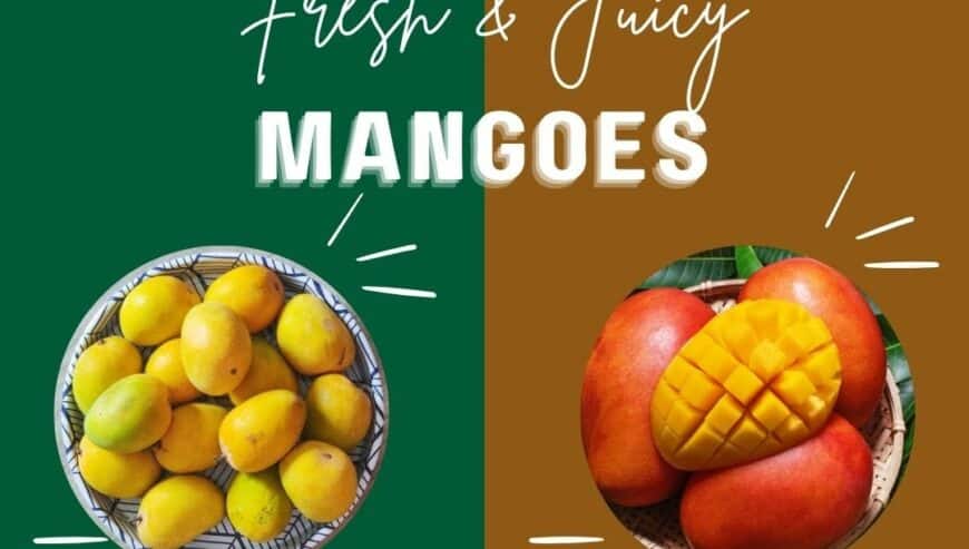 Top Online Mangoes Sellers in Namakkal | Abi Mangoes