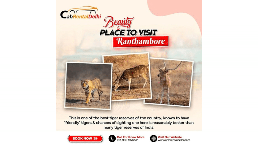 Visit Ranthambore National Park By Car Hire in Delhi | Cab Rental Delhi