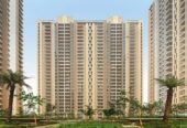 All Apartments in Cleo Gold Sector 121 Noida Offers Nice View