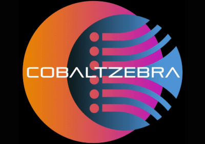 How To Improve Your Google Ads Quality Score Quickly | Cobalt Zebra