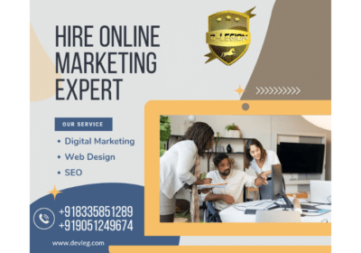 Digital Marketing Expert in India | D Legion Software