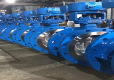 Double Flanged Butterfly Valve Supplier in Muscat | Middle East Valve