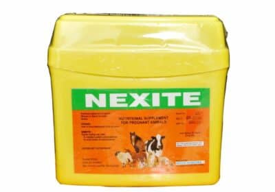 Nexite- Nutrition Supplement For Pregnant Animals | Niceway India