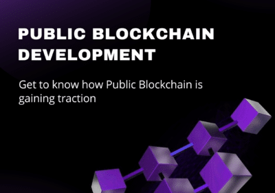 Explore Public Blockchain’s Benefits | Maticz