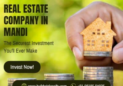 Trusted Real Estate Company in Mandi – Your Partner For Property Solutions | BuildWick Realty