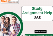 Study Assignment Help UAE For Students