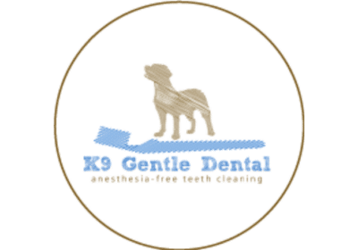 Say Goodbye to Anesthesia: Explore Gentle Teeth Cleaning For Dogs in Calgary
