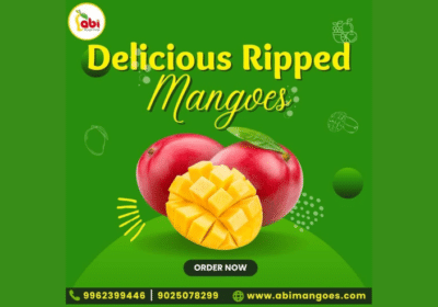 Top-Online-Mangoes-Sellers-in-Namakkal-Abi-Mangoes