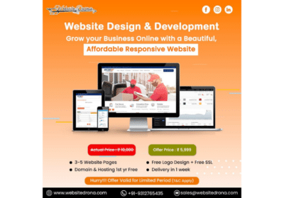 Boost Your Business With Web Designing Company in Delhi | Website Drona