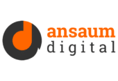 WordPress Development Company | Ansaum Digital