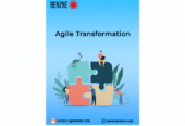 Benzne Consulting Helps You Experience The Best Agile Transformation within Your Organization
