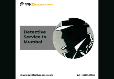 spy-detective