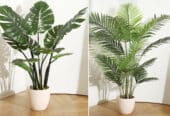 Buy Artificial Plants and Greenery Online | Waysaving