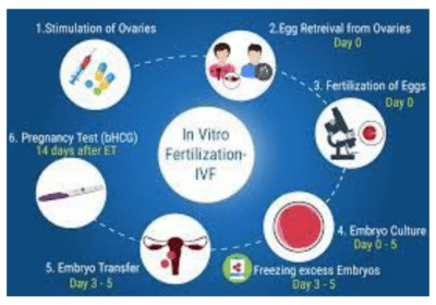 Affordable-Infertility-Treatment-in-Bangalore-Book-a-Free-Consultation-