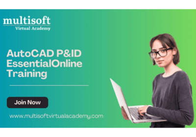 AutoCAD P and ID Essential Online Training | Multisoft Virtual Academy