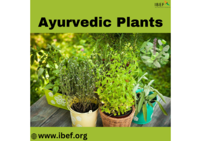 Ayurvedic-Plants-1