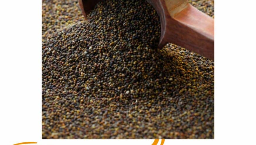 Benefits of Jakhiya Seeds | PahadiLala