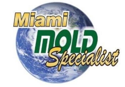 Best Mold Removal Company in Miami | Miami Mold Specialist