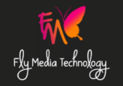 Best SEO Company in Ludhiana | FlyMedia Technology