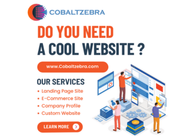 Best Website Design Services in Rohini Delhi India | Cobalt Zebra