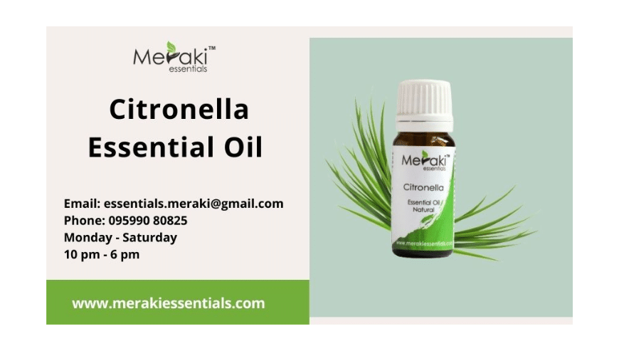 Buy Citronella Essential Oil Online | Meraki Essentials