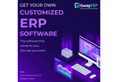 Top ERP Customized Software Developers in Chennai | GwayERP