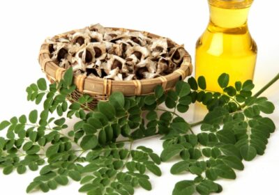 Moringa Oil For Healthy Skin and Hair | Healthy Life Human 360