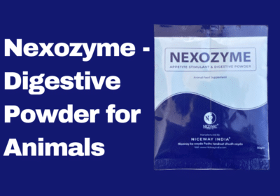 Nexozyme – Digestive Powder For Animals by Niceway India