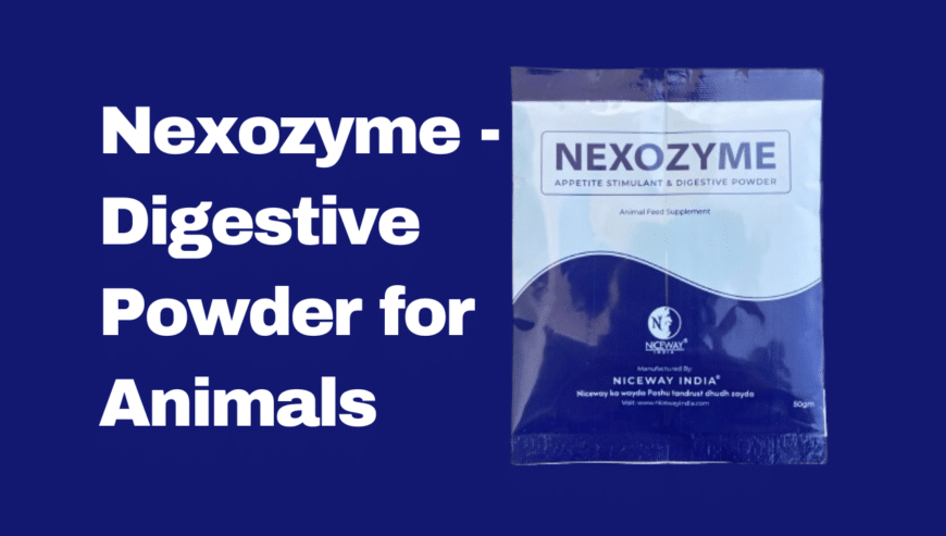 Nexozyme – Digestive Powder For Animals by Niceway India