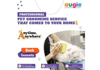 Pet-Grooming-Service-in-Bangalore-Augie.in_