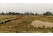 Buy Residential Plots in Orchad Green Project Near NH 139 Dadupur