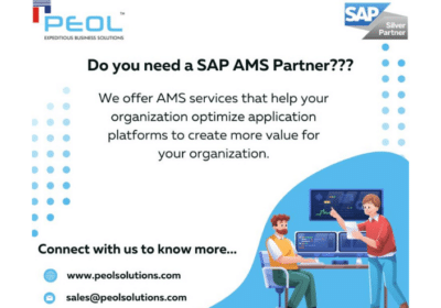 SAP Solution in India | Peol Solution