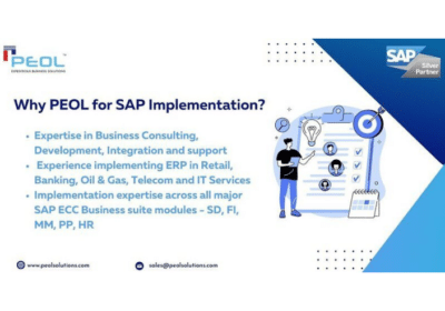 SAP Development Services in India | PEOL Solutions