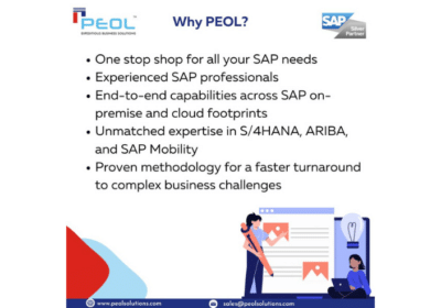 SAP Solution in Bangalore | Peol Solution