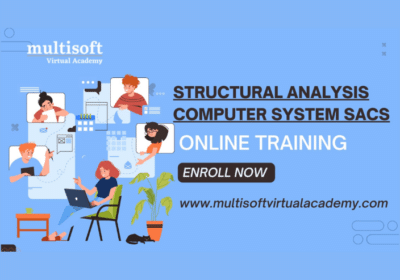 Structural Analysis Computer System (SACS) Online Training | Multisoft Virtual Academy