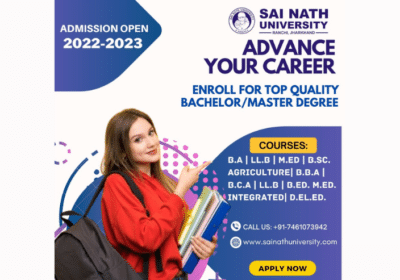 The Ultimate Guide to Taking a BCA Course | Sai Nath University
