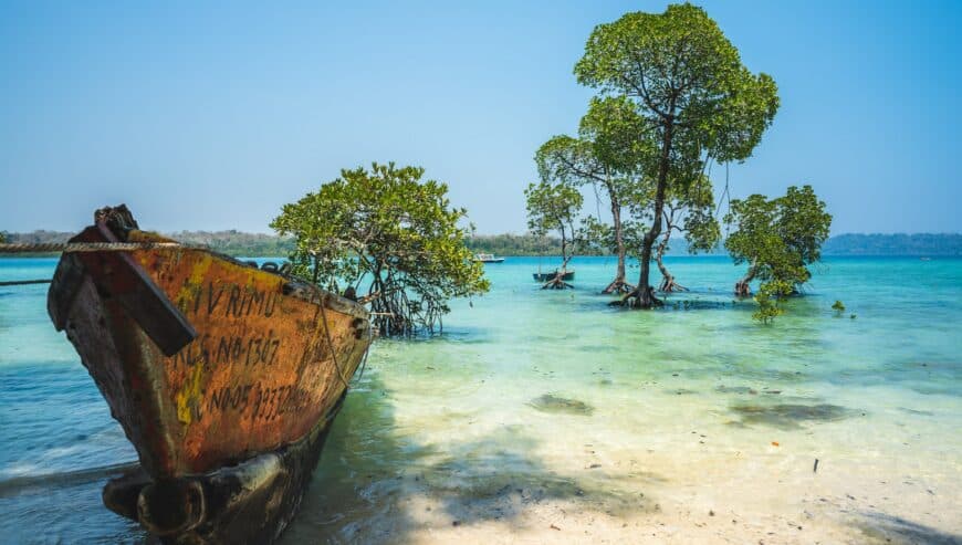 Andaman and Nicobar Islands Package: Unleashing Thrilling Expeditions | Andaman Travel Care